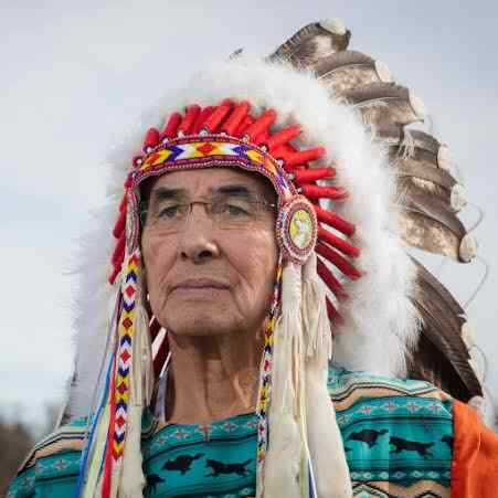 Chief Wilton Littlechild image