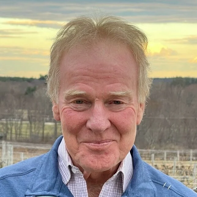 Peter Senge image